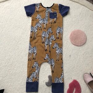 Zebra Rags to Raches